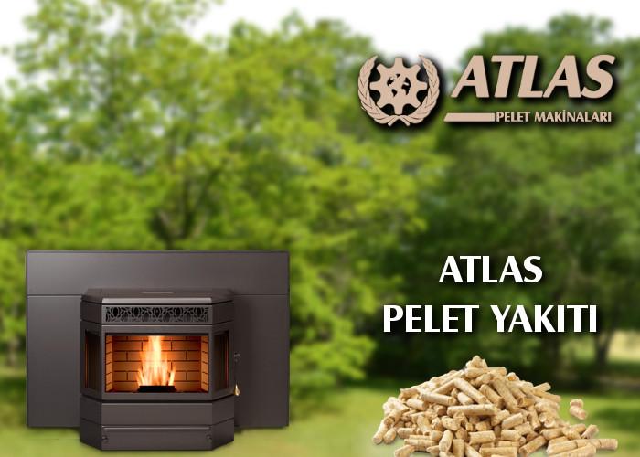 pelet ve pelet yakıtı nedir